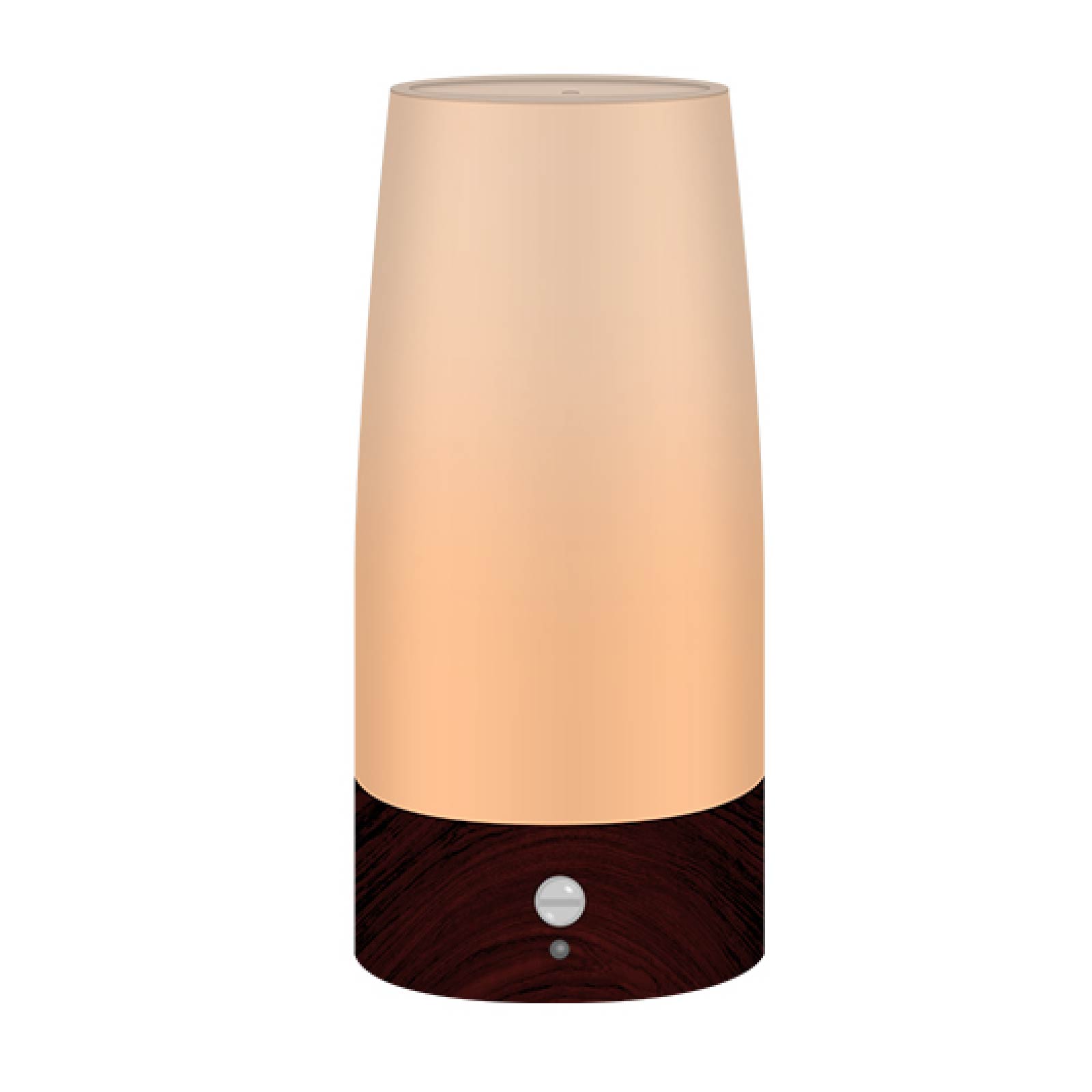 Night Sensor Desktop Lamp