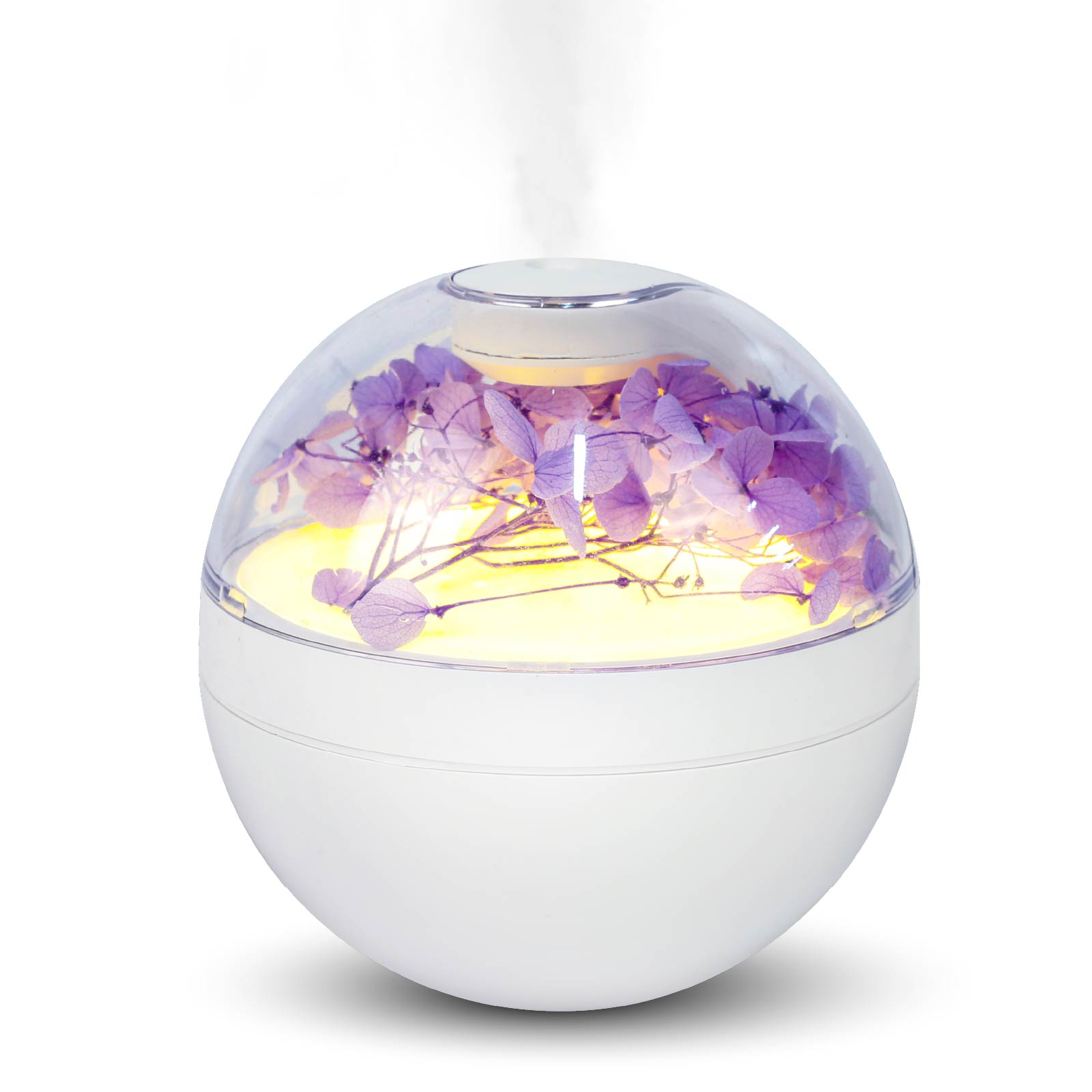 Eternal Flower Humidifier & Night Light