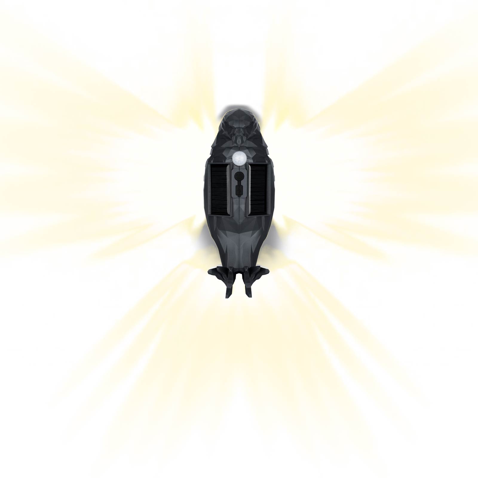 Solar Eagle Wall Light